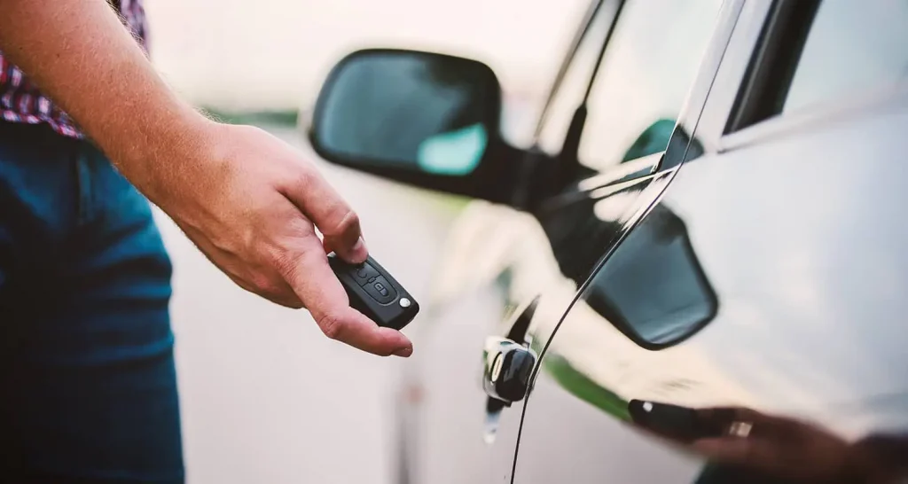 pet locked in car  what to do